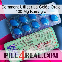 Comment Utiliser La Gelée Orale 100 Mg Kamagra new02